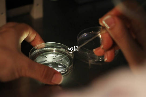 人授转试管休息一个月就可以做了