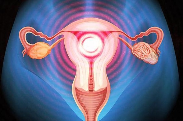 女性子宫环境会影响供卵试管成功率