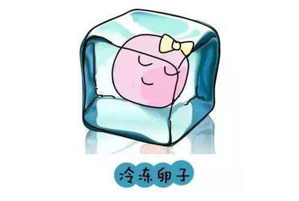 单身女性做冻卵可以去国外