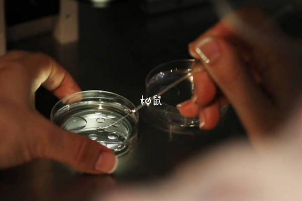 闭经三年能做试管
