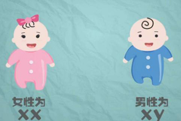 孕期起夜次数看男女